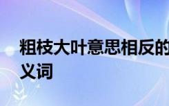 粗枝大叶意思相反的成语是什么 粗枝大叶反义词