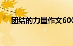 团结的力量作文600字 团结的力量作文