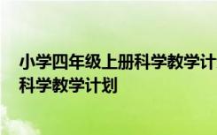 小学四年级上册科学教学计划教科版2020 小学四年级上册科学教学计划