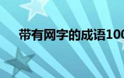 带有网字的成语100个 带有网字的成语