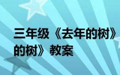 三年级《去年的树》教案设计 三年级《去年的树》教案