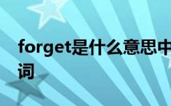 forget是什么意思中文 forget是什么意思名词