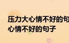 压力大心情不好的句子发朋友圈搞笑 压力大心情不好的句子