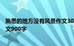 熟悉的地方没有风景作文300字 熟悉的地方没有风景小学作文900字