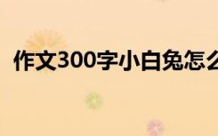 作文300字小白兔怎么写 作文300字小白兔