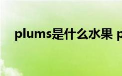 plums是什么水果 pumpkin是什么蔬菜