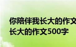 你陪伴我长大的作文500字怎么写 你陪伴我长大的作文500字