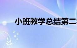 小班教学总结第二学期 小班教学总结