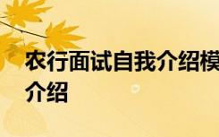 农行面试自我介绍模板应届生 农行面试自我介绍