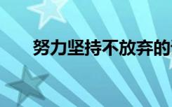 努力坚持不放弃的语录 不放弃的语录