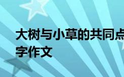 大树与小草的共同点有哪些 大树与小草800字作文