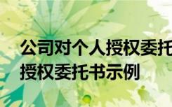 公司对个人授权委托书示例范文 公司对个人授权委托书示例