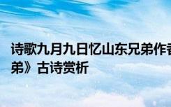 诗歌九月九日忆山东兄弟作者王维 王维《九月九日忆山东兄弟》古诗赏析