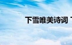 下雪唯美诗词 下雪唯美的诗句