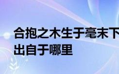 合抱之木生于毫末下一句 合抱之木生于毫末出自于哪里