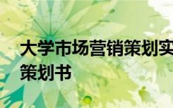 大学市场营销策划实训报告 大学生市场营销策划书