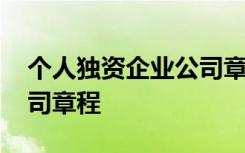 个人独资企业公司章程模板 个人独资企业公司章程