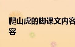 爬山虎的脚课文内容讲解 爬山虎的脚课文内容