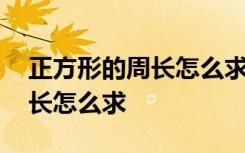 正方形的周长怎么求三年级下册 正方形的周长怎么求