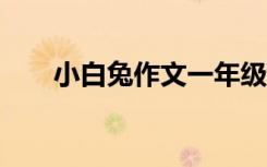 小白兔作文一年级100字 小白兔作文