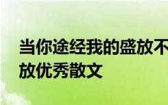 当你途经我的盛放不说爱你 当你途径我的盛放优秀散文