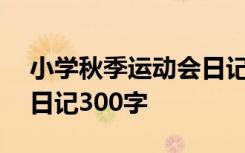 小学秋季运动会日记100字 小学秋季运动会日记300字