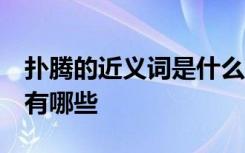 扑腾的近义词是什么 标准答案 扑腾的近义词有哪些