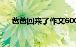 爸爸回来了作文600字 爸爸回来了作文