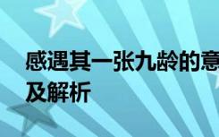 感遇其一张九龄的意思 感遇其一张九龄原文及解析