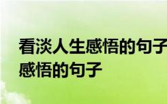 看淡人生感悟的句子经典四字成语 看淡人生感悟的句子