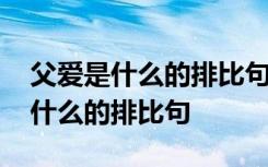 父爱是什么的排比句写生活中的小事 父爱是什么的排比句