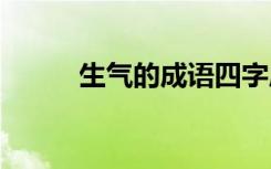 生气的成语四字成语 生气的成语