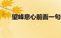 望峰息心前面一句 望峰息心成语解释