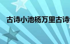 古诗小池杨万里古诗大意 古诗小池杨万里