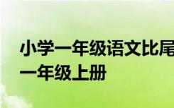 小学一年级语文比尾巴课文内容 比尾巴原文一年级上册