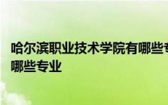 哈尔滨职业技术学院有哪些专业可选 哈尔滨职业技术学院有哪些专业