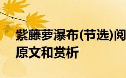 紫藤萝瀑布(节选)阅读答案 紫藤萝瀑布课文原文和赏析