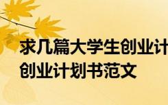 求几篇大学生创业计划书范文 最新大学生的创业计划书范文