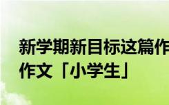 新学期新目标这篇作文怎么写 新学期新目标作文「小学生」