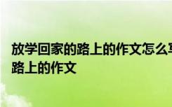 放学回家的路上的作文怎么写字数三十到五十字 放学回家的路上的作文