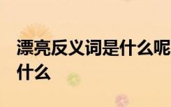 漂亮反义词是什么呢 标准答案 漂亮反义词是什么