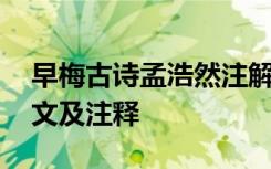 早梅古诗孟浩然注解 孟浩然《早梅》唐诗原文及注释