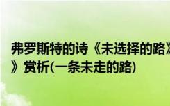 弗罗斯特的诗《未选择的路》读后感 弗罗斯特《未选择的路》赏析(一条未走的路)