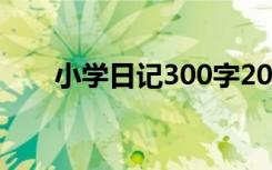 小学日记300字20篇 小学日记300字