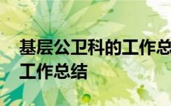 基层公卫科的工作总结 基层公共卫生科个人工作总结