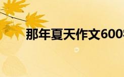 那年夏天作文600字 夏天作文600字