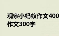 观察小蚂蚁作文400字作文 观察小蚂蚁优秀作文300字