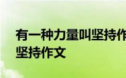 有一种力量叫坚持作文800字 有一种力量叫坚持作文