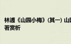 林逋《山园小梅》(其一) 山园小梅宋 林逋全文注释翻译及原著赏析