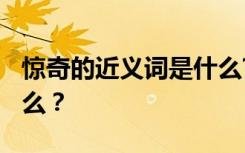 惊奇的近义词是什么?什么 惊奇的近义词是什么？